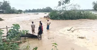 বছর ঘুরতেই ফের উজানের ঢলে শেরপুরে বন্যা